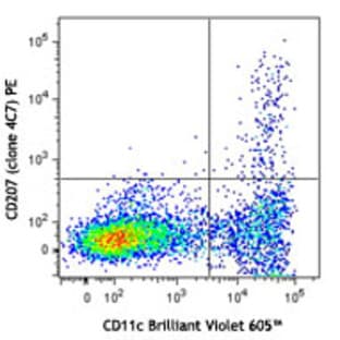 PE anti-mouse/human CD207 (Langerin)