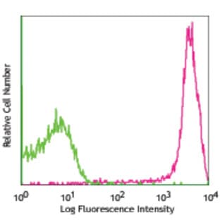 PerCP/Cy5.5 anti-rat CD90/mouse CD90.1 (Thy-1.1) avatar