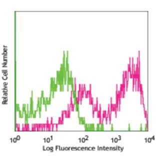 Purified anti-rat CD5 avatar
