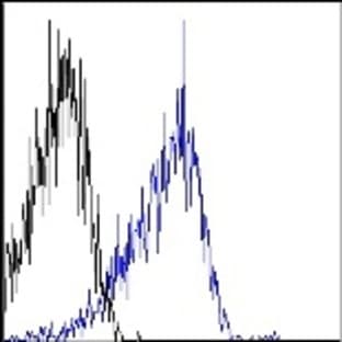 Alexa Fluor(R) 700 anti-human CD29 avatar