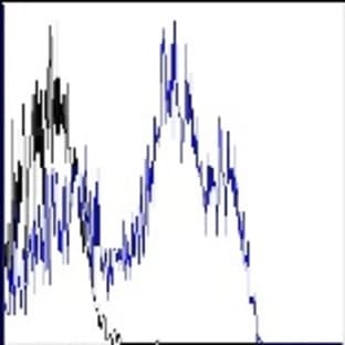 Alexa Fluor(R) 700 anti-human CD45RA avatar