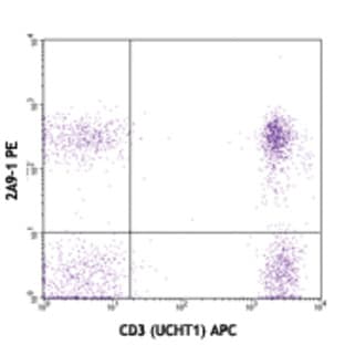 Purified anti-human CX3CR1 avatar