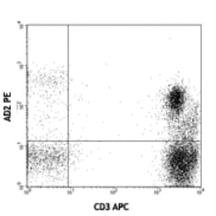 Purified anti-human CD73