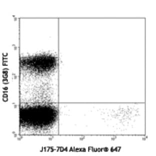 Purified anti-human Pro-Major Basic Protein 1 (ProMBP1) avatar