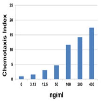 Recombinant Human CCL8 (MCP-2) (carrier-free) avatar