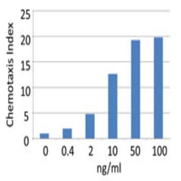 Recombinant Mouse CCL11 (Eotaxin) (carrier-free) avatar