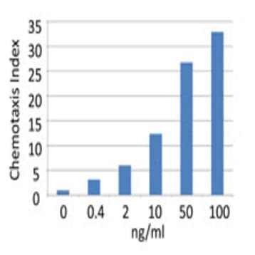 Recombinant Human CCL11 (Eotaxin) (carrier-free)