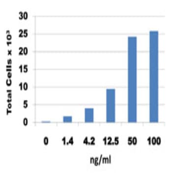 Recombinant Human CX3CL1 (Fractalkine) (carrier-free) avatar