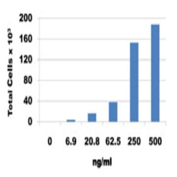 Recombinant Mouse CX3CL1 (Fractalkine) (carrier-free) avatar