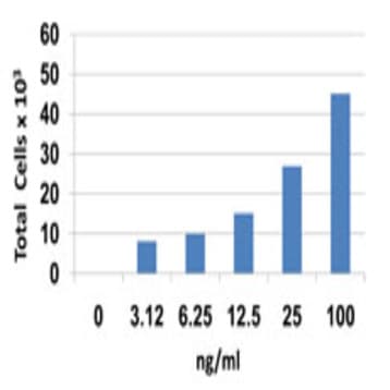 Recombinant Human CCL27 (CTACK) (carrier-free)