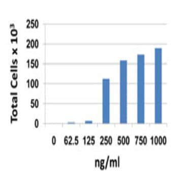 Recombinant Mouse CXCL13 (carrier-free) avatar