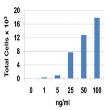 Recombinant Human CCL22 (MDC) (carrier-free)