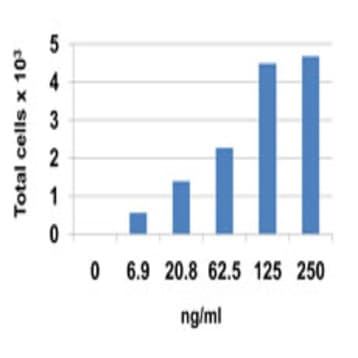 Recombinant Human CCL24 (Eotaxin-2) (carrier-free)