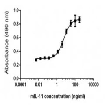 Recombinant Mouse IL-11 (carrier-free) avatar