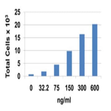Recombinant Mouse CCL7 (MCP-3) (carrier-free) avatar