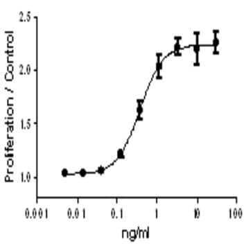 Recombinant Human IL-2 (carrier-free) avatar