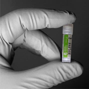 MyCell Products