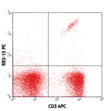 PE anti-mouse TCR Vbeta11