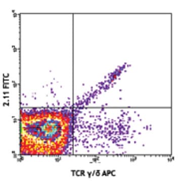 Purified anti-mouse TCR Vgamma1.1/Cr4 avatar