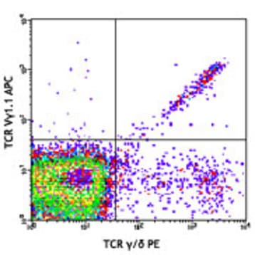 APC anti-mouse TCR Vgamma1.1/Cr4