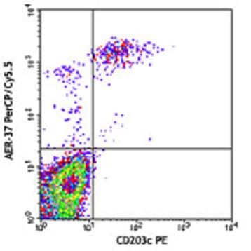 PerCP/Cy5.5 anti-human FcepsilonRIalpha avatar