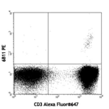 Purified anti-human TCR Valpha24-Jalpha18 (iNKT cell) avatar