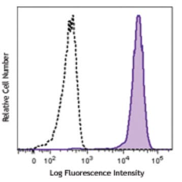 Purified anti-human GPR19