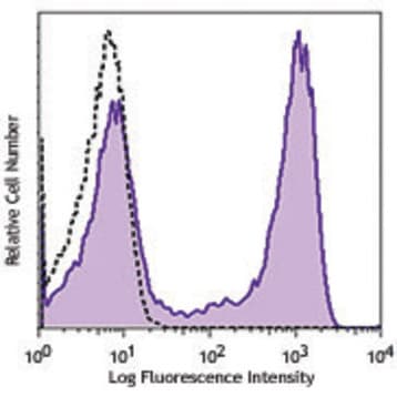 Purified anti-human GPR56