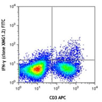FITC anti-mouse IFN-gamma
