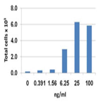 Recombinant Mouse CCL20 (MIP-3alpha) (carrier-free) avatar
