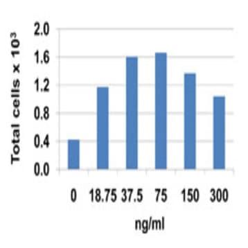 Recombinant Mouse CCL9 (MIP-1gamma) (carrier-free) avatar