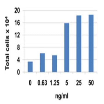 Recombinant Human CXCL3 (GRO-gamma) (carrier-free) avatar