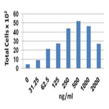 Recombinant Human CCL23 (MPIF-1) (Arg22-Ans120) (carrier-free)