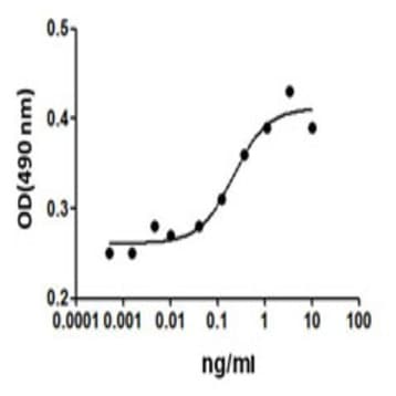 Recombinant Human Erythropoietin (EPO) (carrier-free)