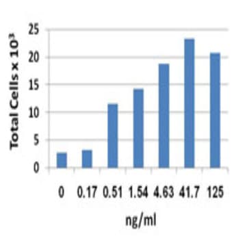 Recombinant Mouse CCL19 (MIP-3beta) (carrier-free) avatar