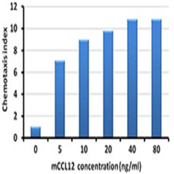 Recombinant Mouse CCL12 (MCP-5) (carrier-free) avatar