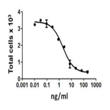 Recombinant Human FASL (TNFSF6) (carrier-free) avatar