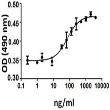 Recombinant Human VEGF-C (carrier-free) avatar