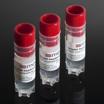 Human upcyte® Hepatocytes