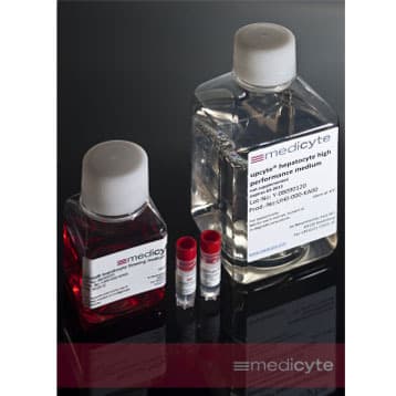 upcyte® Hepatocyte Starter Kit