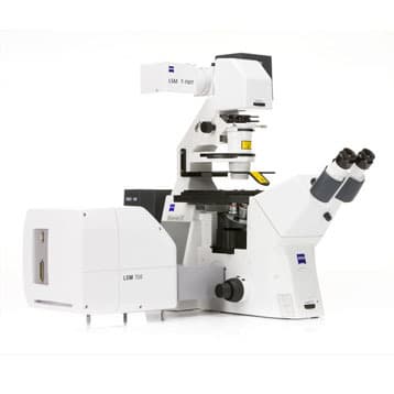 ZEISS LSM 700 Confocal Laser Scanning Microscope