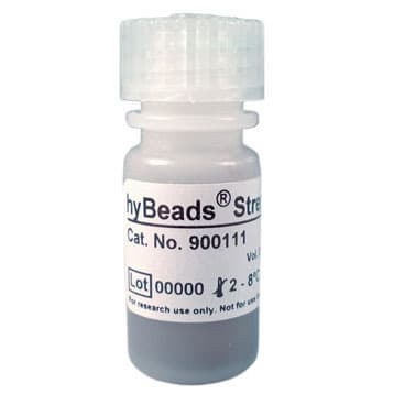 hyBeads® Streptavidin