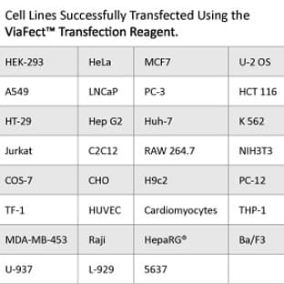 ViaFect(TM) Transfection Reagent avatar