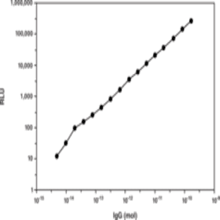Acridinium Protein Labeling Kit
