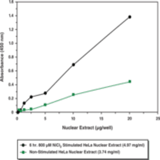 p53 Transcription Factor Assay Kit