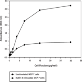 p53 Designer Transcription Factor Assay Kit