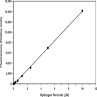 Hydrogen Peroxide Cell-Based Assay Kit avatar