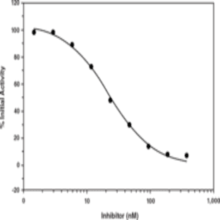 BACE Inhibitor Screening Assay Kit