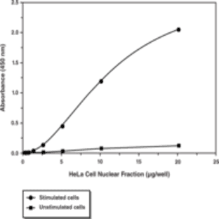 ATF2 (Phospho-Thr69,71) Transcription Factor Assay Kit