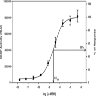 Melanocortin-4 Receptor STEP Reporter Assay Kit (Luminescence)